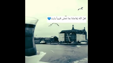 حالات واتس آب تثلج نبض قلبك  ‏| مقطع جديد رعد الكردي تلاوة