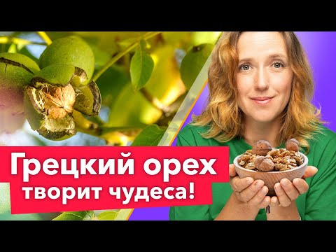 САМЫЙ ПОЛЕЗНЫЙ ОРЕХ! Уникальные свойства и секреты выращивания грецкого ореха