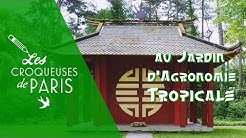 { vidéo } Le Jardin d’Agronomie tropicale