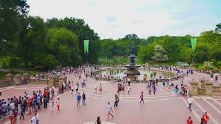 Top 10 Things to Do in Central Park | New York City