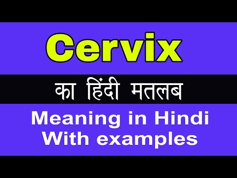 Cervix Meaning in Hindi/Cervix ka Matlab ya arth kya Hota hai