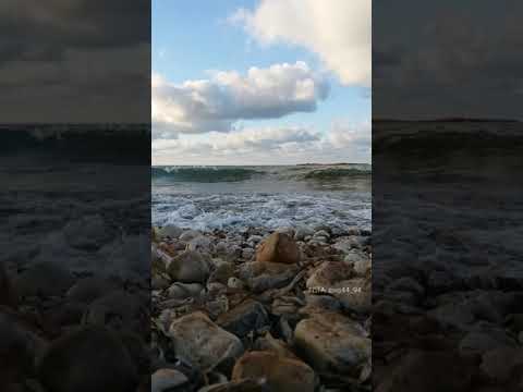 وريهم حدودك علي بوصلاح