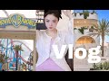 VLOG Gold Coast 旅行记录✈️ 🇦🇺 2023年第一支vlog 看日出 去主题公园