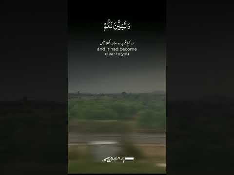 وسكنتم في مساكن الذين ظلموا أنفسهم وتبين لكم كيف فعلنا بهم وضربنا لكم الأمثال قرآن قران كريم لايك
