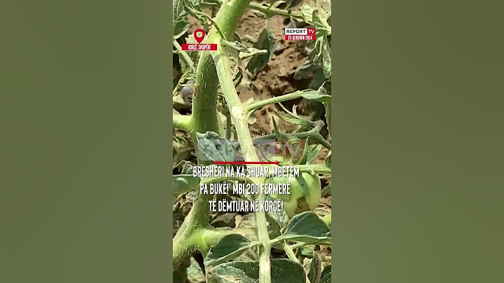 Mbetëm pa bukë, breshëri na ka shuar! Fermerët në Korçë ngrejnë shqetësimin #fermer #korce