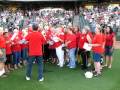 Star spangled banner 62110 dell diamond