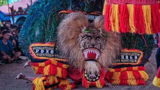 Ngeri ‼️ Reog Ponorogo terbaru SOLAH JOS PEMBARONG GANTENG laskar sendang gedhe