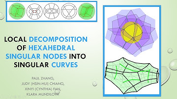 Hexahedral Mesh Singular Decomposition