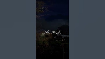 القارئ : عبد الرحمن مسعد ﴿ قُلْ كَفَىٰ بِاللَّهِ بَيْنِي وَبَيْنَكُمْ شَهِيدًا ۖ﴾[ العنكبوت: 52]