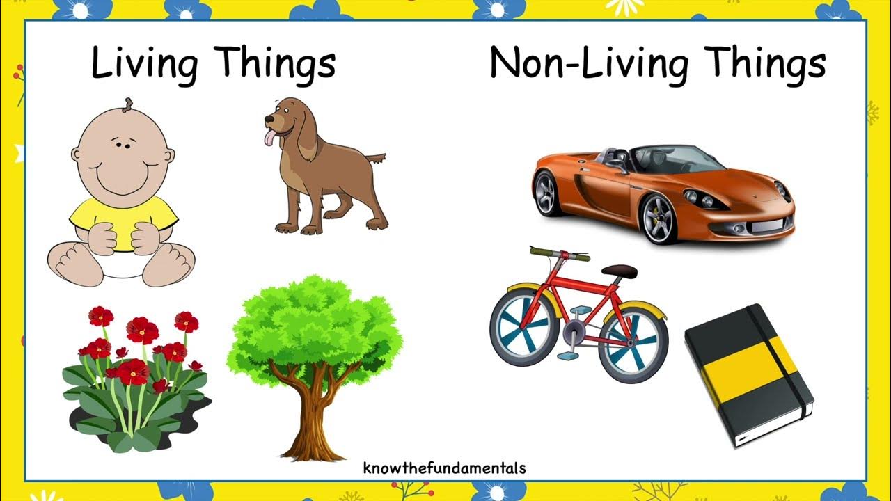 living-things-and-nonliving-things-for-kids-living-and-nonliving