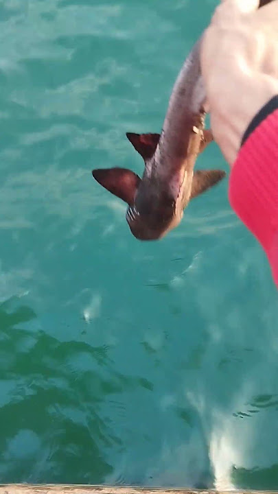 mancing keributan #fishing