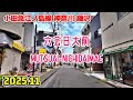 六会日大前駅周辺を散歩｜神奈川 藤沢市｜Kanagawa Japan walk in Mutsuai-nichidai-mae fujisawa 2025-11