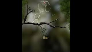 lagu tetun terbaru 2023 keren #Hein_lirik