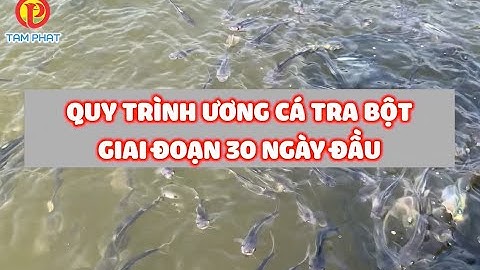 QUY TRÌNH ƯƠNG CÁ TRA BỘT GIAI ĐOẠN 30 NGÀY ĐẦU.