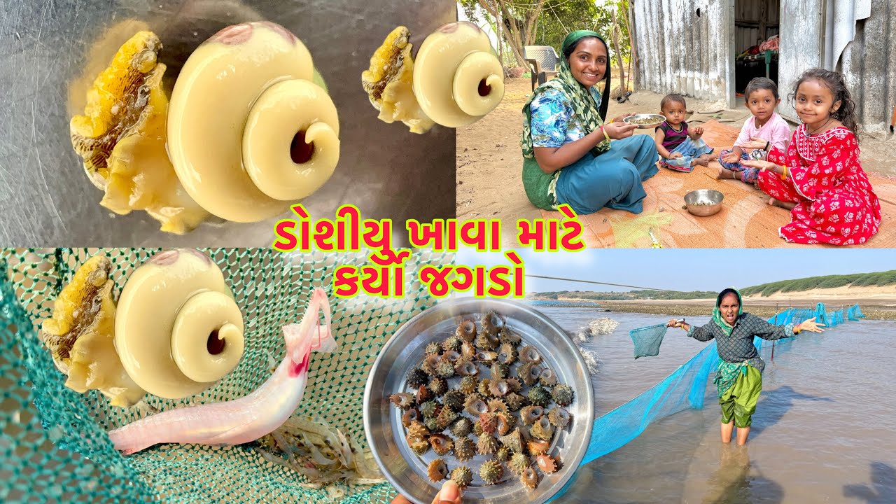 સવાર મા સમુદ્ર મા મચ્છી પકડવા ગયા🦈jinga fishing 🍤 dariyai khedut