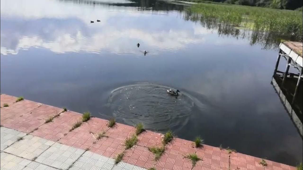 Пруды у Иосифо Волоцкого