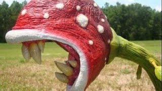 ▶Эти растения могут есть даже животных! Растения убийцы. ▶Эти растения могут есть даже животных! Растения убийцы.