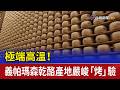極端高溫！ 義帕瑪森乾酪產地嚴峻「烤」驗