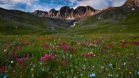 القارئ هزاع البلوشي سورة الملك تلاوة رائعة سكينه وراحة لا توصف Surat Al-Mulk - Hazza Al Balushi