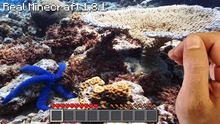 Real Life Minecraft - FISH CORAL STARFISH