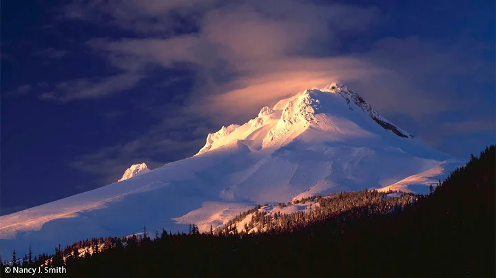 Gresham Arts Festival Artist Profile: Nature Photo...