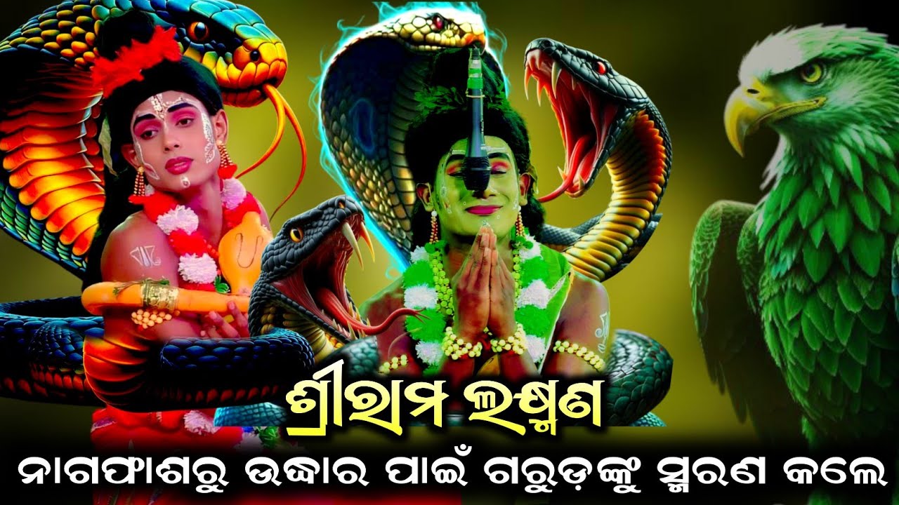 ଗରୁଡଙ୍କୁ ସ୍ମରଣ କଲେ ରାମ ଲକ୍ଷ୍ମଣ//ଇନ୍ଦ୍ରଜିତ ବଦ୍ଧ//Jatra Bajarangi//Rajsunakhala, Nayagarh