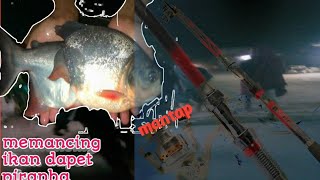 fishing for mancig mania can be piranha screenshot 5