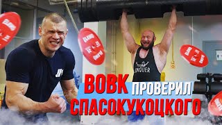 Вовк ПРОВЕРИЛ Спасокукоцкого НА СИЛУ!