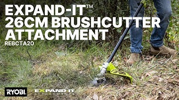 RYOBI Expand-It™ 26cm Brushcutter Attachment (REBCTA20) in action