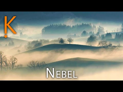 Nebel 🌫️ - 10 Fakten über die Wolken am Boden