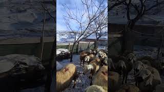 Hava Açık Ama /Baya Soğuk Kayseri