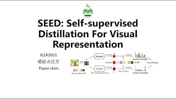 【蜻蜓点论文】184 SEED Self supervised Distillation For Visual Representation