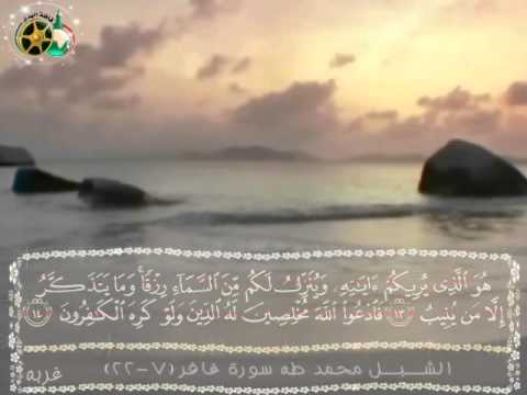 الشبل محمد طه سورة غافر