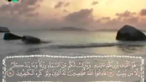 الشبل محمد طه سورة غافر
