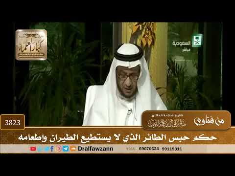 [3823] حكم حبس الطائر الذي لا يستطيع الطيران وإطعامه - صالح الفوزان