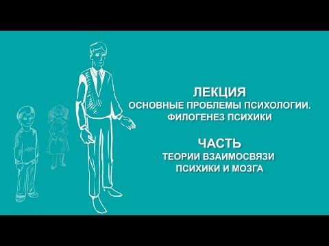 Ольга Ильина: Теории взаимосвязи психики и мозга | Вилла Папирусов