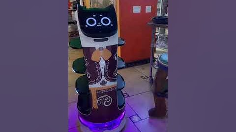 VISAL Robotics Door Opener