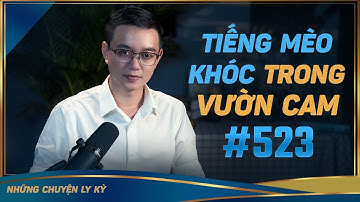 TIẾNG MÈO KHÓC TRONG VƯỜN CAM - Chuyện tâm linh Nguyễn Huy kể #523