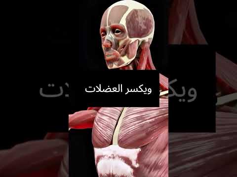 اخطر شىء يدمر صحتك ويقصر عمرهووالنوم ترجعله   صحتك في غذائك الكويت مليون عائلة مرتاحة