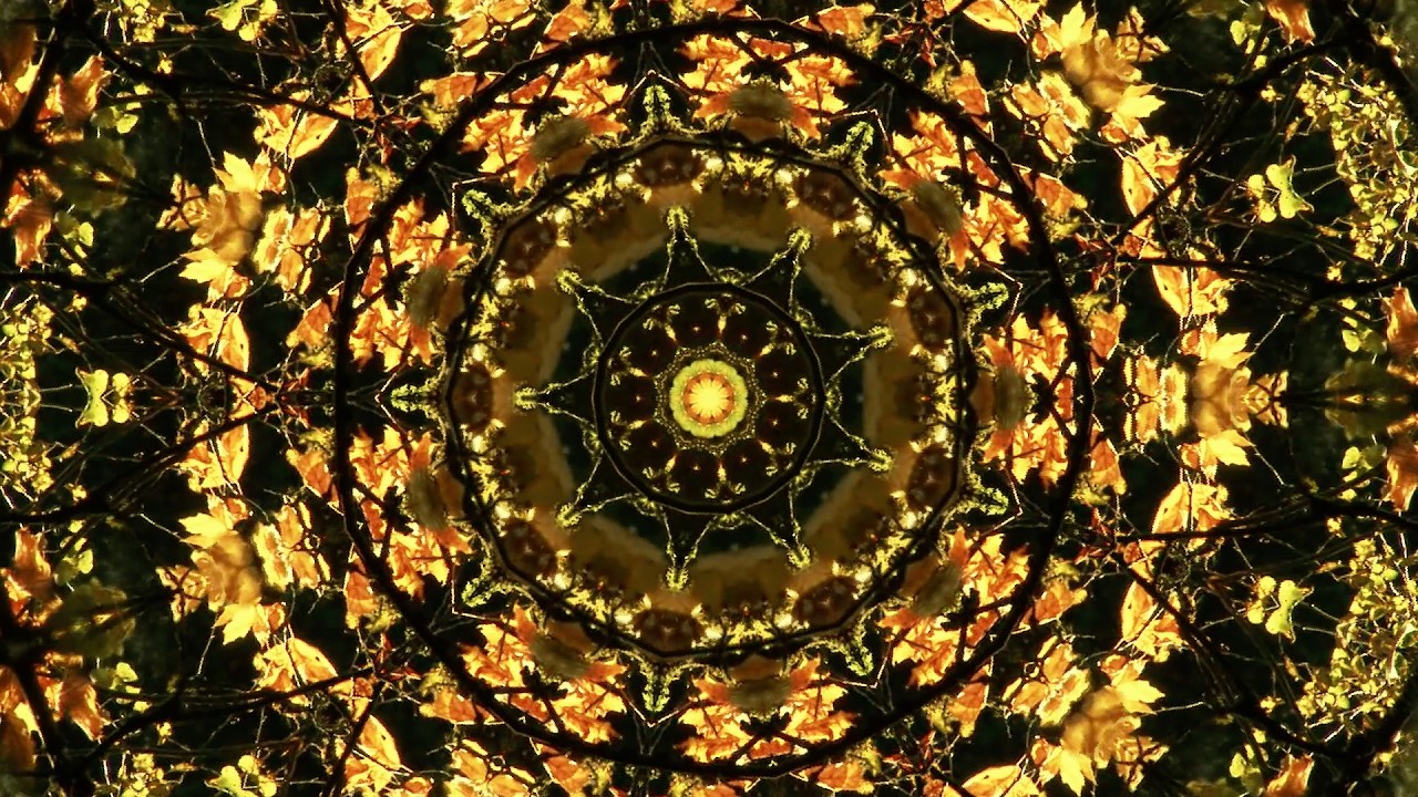 Bert Bruines - Om Arunachala