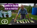 Leeks after potatoes in the same sacks of different composts, one of soil