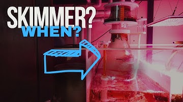 Reef Tank Protein Skimmer. When