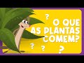 🟠 O QUE AS PLANTAS COMEM? 🌳🌱#BNCC - Aprenda com Luna l O Show da Luna!