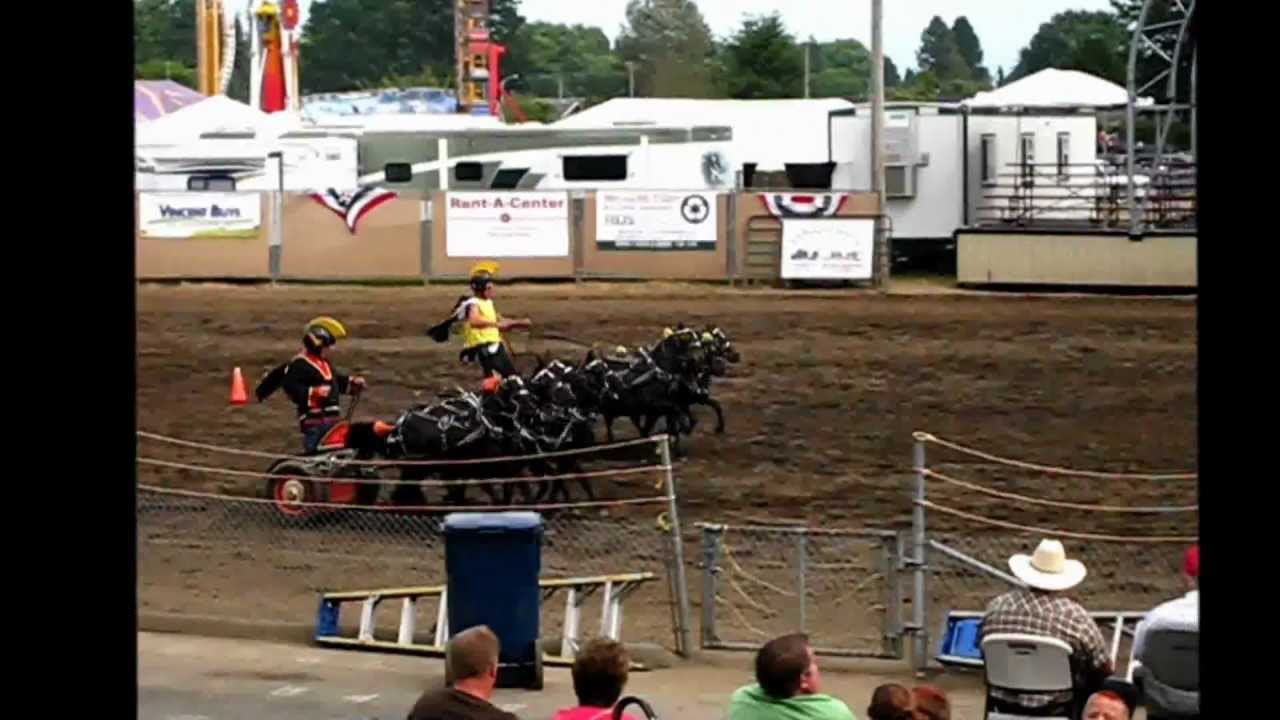 NW Washington Fair - At The Races