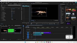 Premiere Pro - How to Green Screen Green Screen/Intro to Effects Window