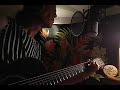 No 747 ZOOEY / 佐野元春 (弾き語りカバー)