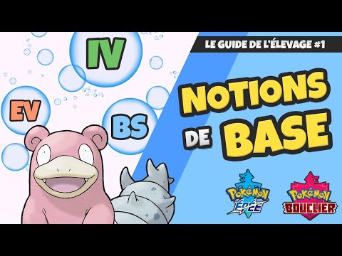 Les NOTIONS de BASE de Pokémon (Nature, IV, EV...) - Guide de l&rsquo;Élevage de Pokémon Épée et Bouclier