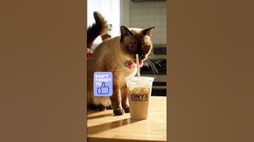 Why Cats Slow Blink at You 😻 The Secret Kitty “I Love You” #CatSlowBlink #CatLanguage #CatBehavior