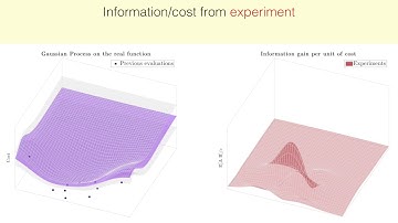 Virtual vs. Real: Trading Off Simulations and Physical Experiments in RL with Bayesian Optimization