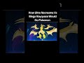 Mega Rayquaza Vs Ultra Necrozma Pokemon Legendary Battle